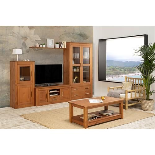 dakota-mueble-tv-1c-2p